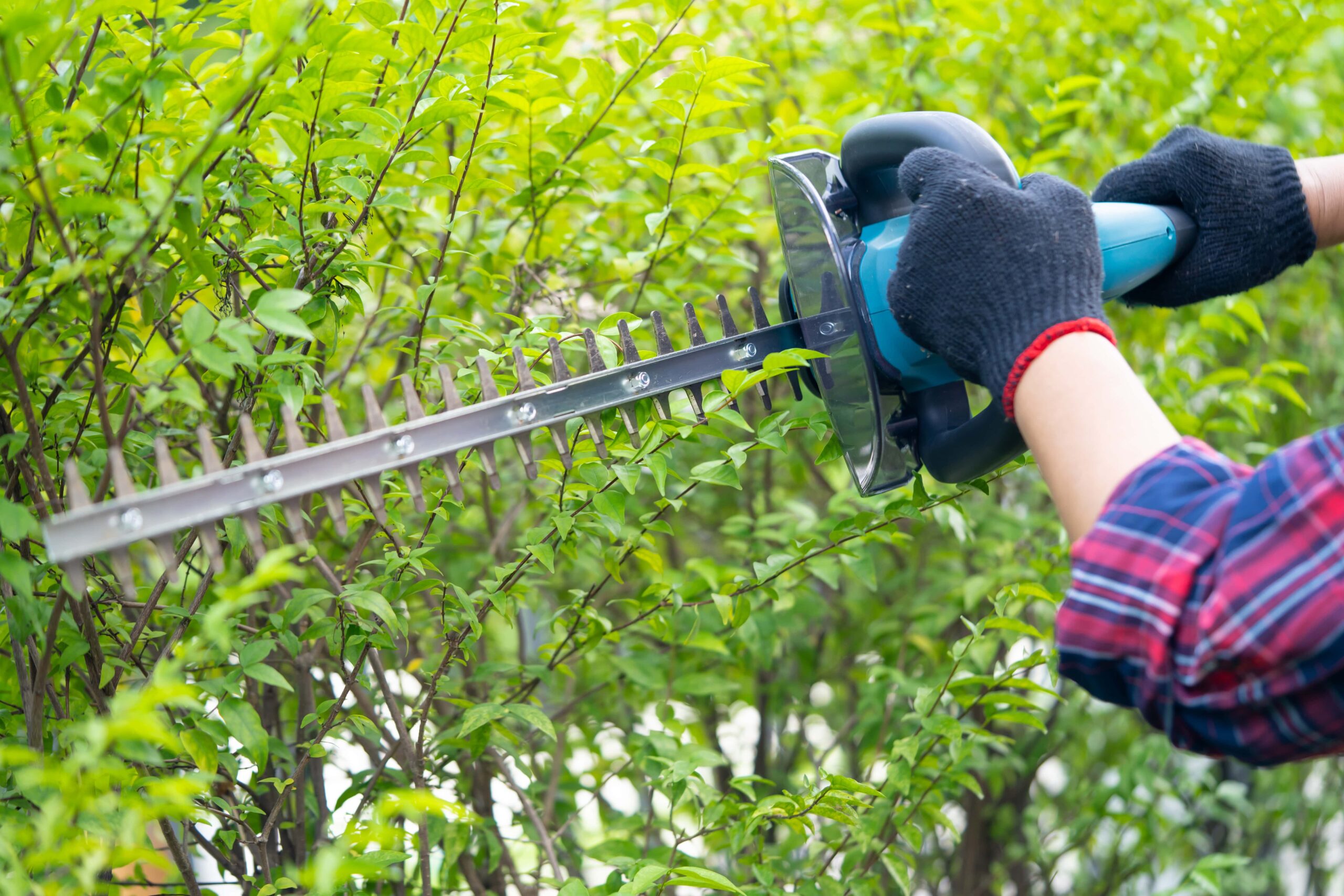 entretient de vos espaces verts